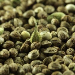 SWUTUY3TRS3MPS47IJUAFK5P6E